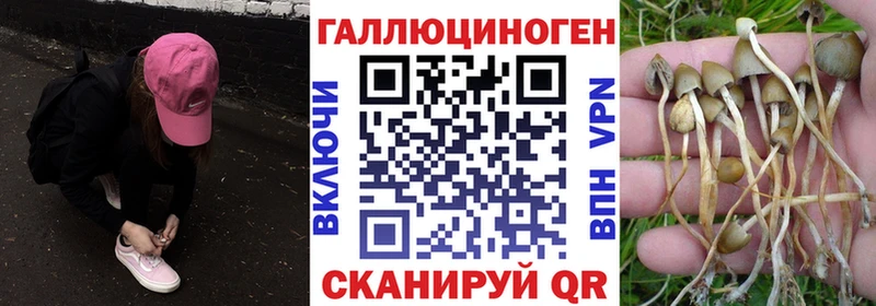 Псилоцибиновые грибы прущие грибы  Дмитровск 